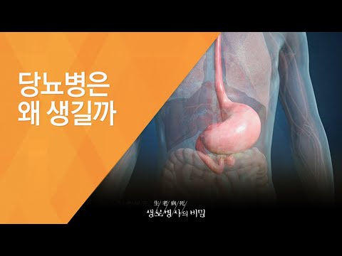 당뇨병은 왜 생길까 – (20150520_545회 방송)_신맛의 비밀