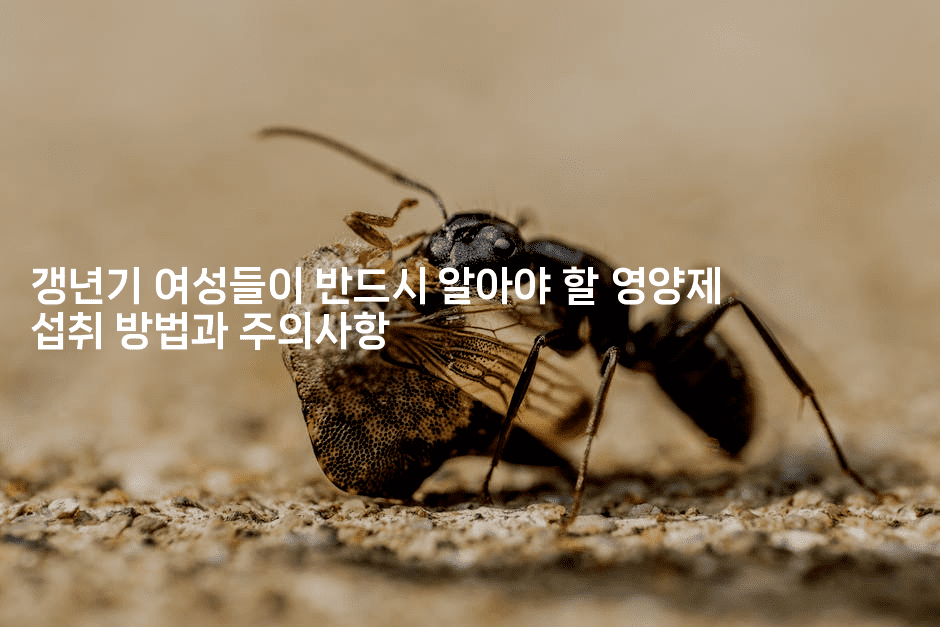 갱년기 여성들이 반드시 알아야 할 영양제 섭취 방법과 주의사항2-식힐마음