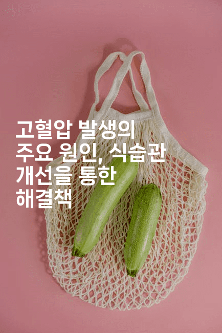 고혈압 발생의 주요 원인, 식습관 개선을 통한 해결책2-식힐마음