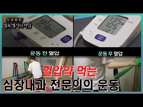 20대에 고혈압을 진단받고, 약을 복용하기 시작한 심장내과 전문의가 혈압을 관리하고, 자기 몸의 '혈압 패턴'을 찾는 노력  l KBS 20231025 방송