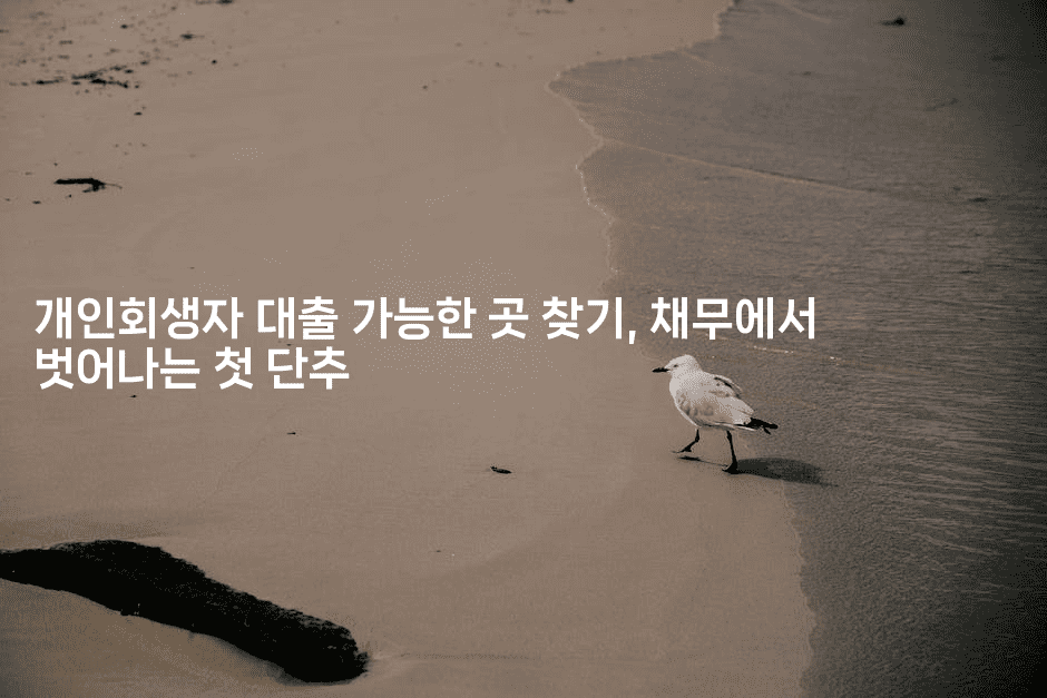 개인회생자 대출 가능한 곳 찾기, 채무에서 벗어나는 첫 단추-식힐마음