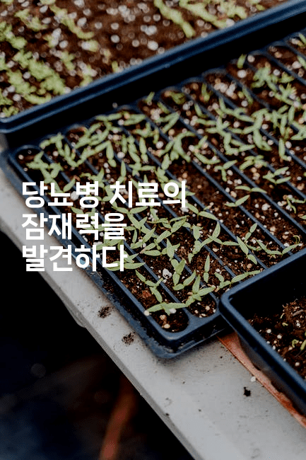 당뇨병 치료의 잠재력을 발견하다 -식힐마음