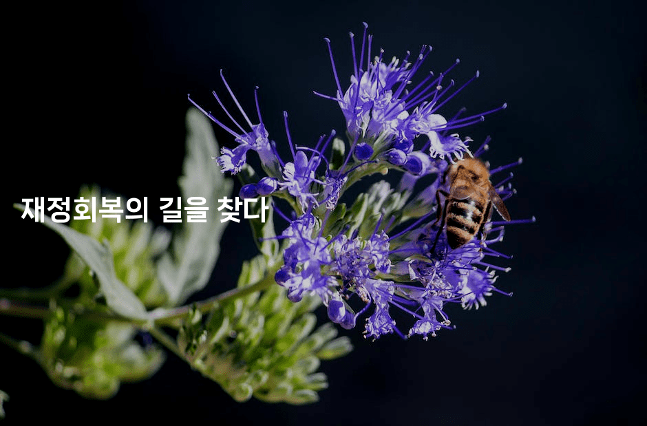 재정회복의 길을 찾다-식힐마음