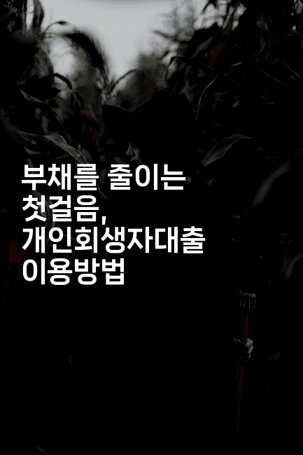 부채를 줄이는 첫걸음, 개인회생자대출 이용방법-식힐마음