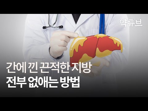 약 없이 지방간 없애는 가장 확실한 방법