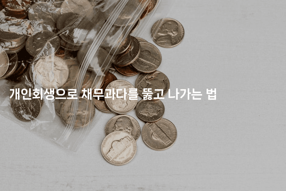 개인회생으로 채무과다를 뚫고 나가는 법-식힐마음