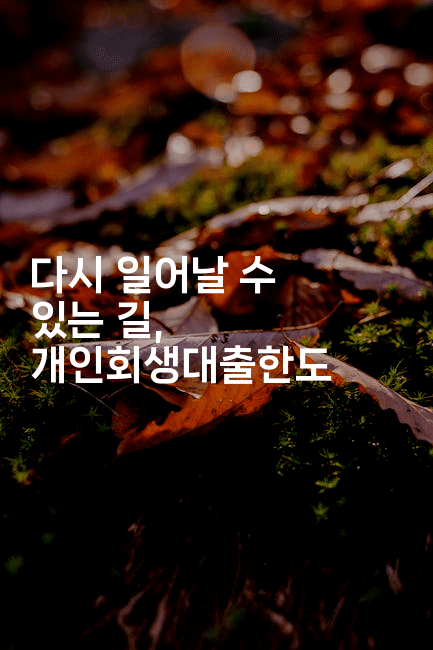 다시 일어날 수 있는 길, 개인회생대출한도-식힐마음