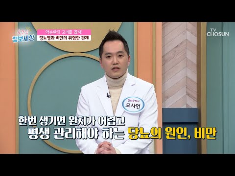 많은 합병증을 유발하는 당뇨병의 원인은 ‘비만’ TV CHOSUN 230127 방송 | [굿모닝 정보세상] 769회 | TV조선