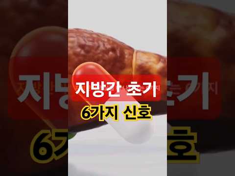 지방간 전조증상 6가지 신호 - 지금당장확인하세요 - 50대 중년 이후 필수 건강 관리 주의사항