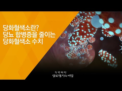 당화혈색소란? 당뇨 합병증을 줄이는 당화혈색소 수치 - (2018.7.4_653회 방송) 당뇨 건강장수의 비밀