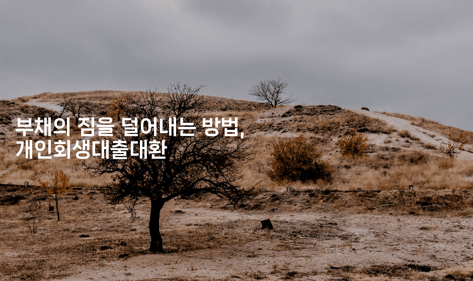 부채의 짐을 덜어내는 방법, 개인회생대출대환-식힐마음