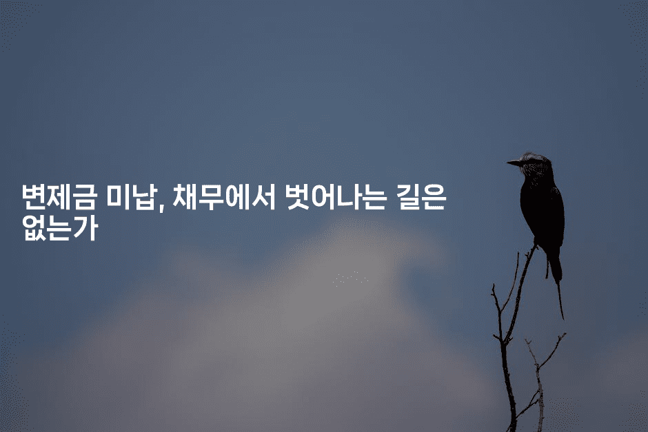 변제금 미납, 채무에서 벗어나는 길은 없는가-식힐마음